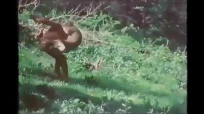 First look at the Red Dead Online movie