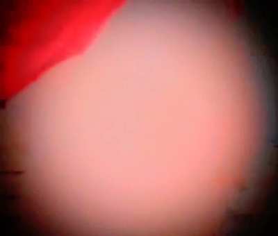 [50] female Ass GIF by ilovepussy48