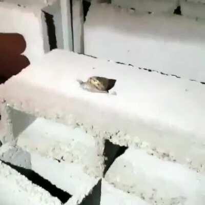 ⠀⠀⠀⠀⠀⠀⠀⠀⠀⠀⠀⠀⠀