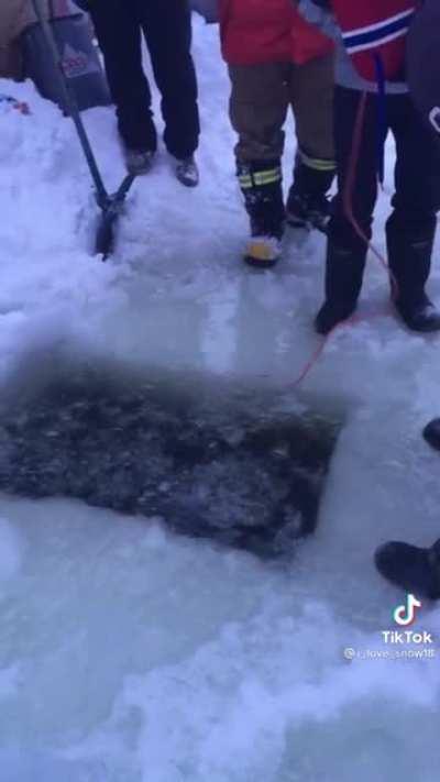 Canadian lost his phone in a frozen lake, so he goes looking for it