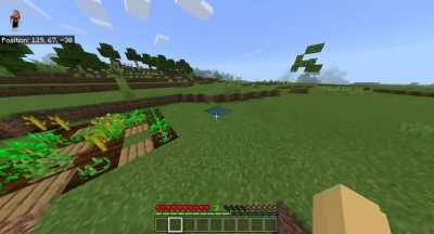 I accidentally walked in on an ancient sheep ritual.