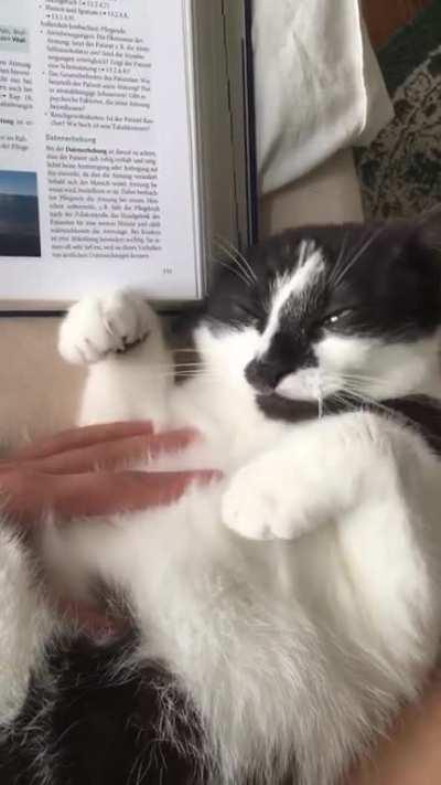 Reaching for the stars