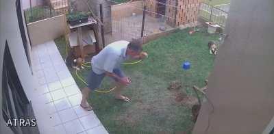 blursed_burning_lawn