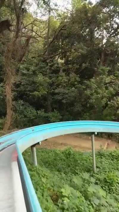 Really cool slide my friends showed me in Japan.