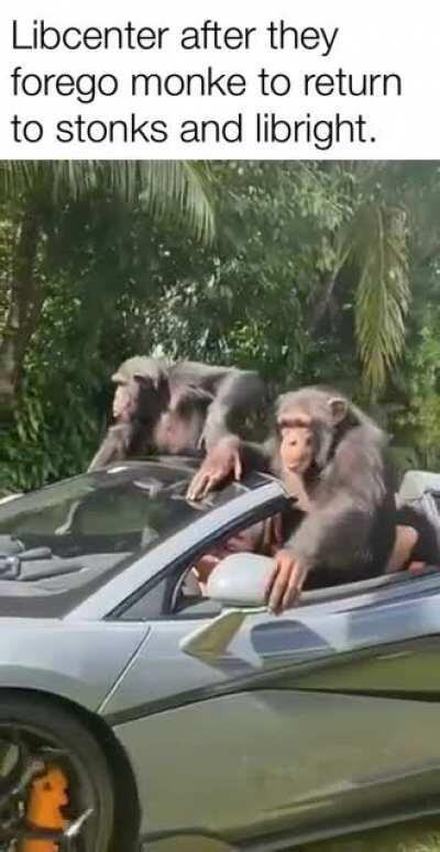 Fuck monke. Get cash.