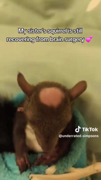 This guy is kind of cute