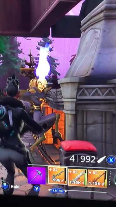 I had no idea Lobbers were so photogenic 😂