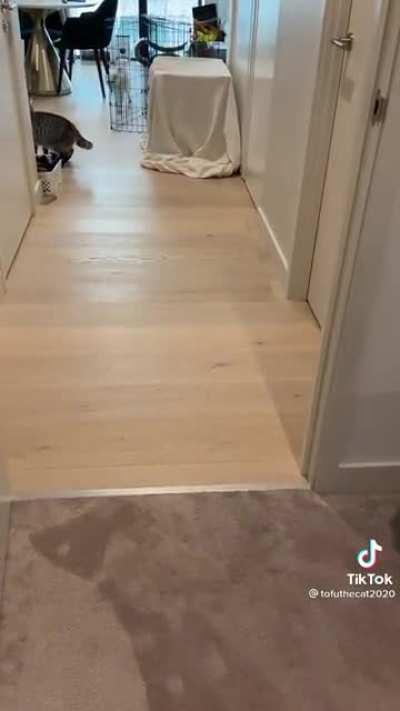 mfs didn't see that coming