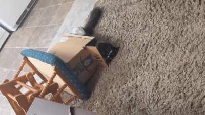 A true captain goes down with his ship