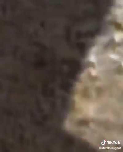 We shouldn’t stay here