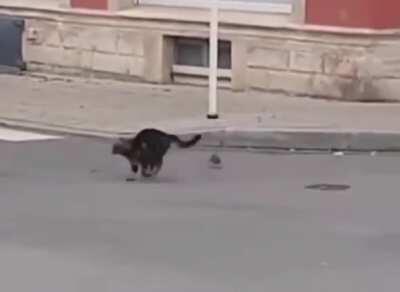 My whole life was a lie!