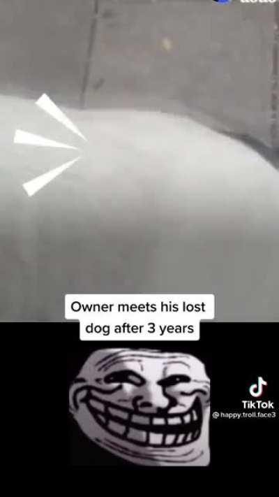 Dog found after 3 years