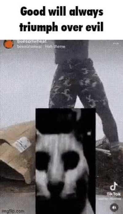 Name of the evil vs good cat?