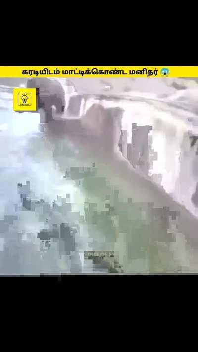  “Two bears in one cave will not end well.” – Mongolian Proverb