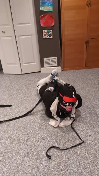 I want someone to grab that leash and take control