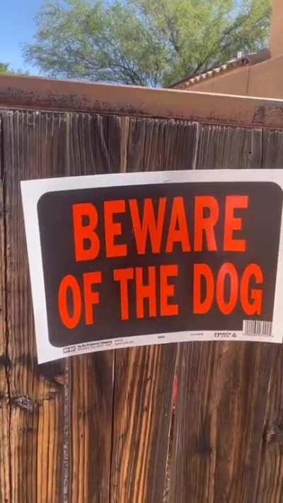 beware of the dog