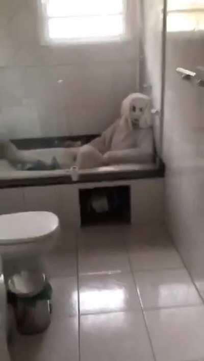 Scary Easter everyone!