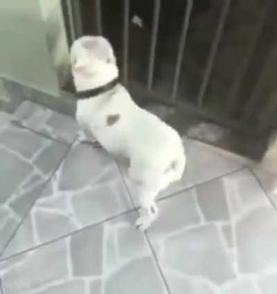 CARNAVAL É DIA DE...