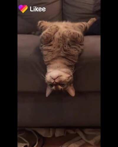 It's Thursday, weekend is almost here.