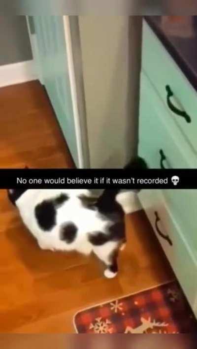 Guardado desde los 1900