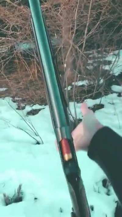 When you gotta flex your terminus.