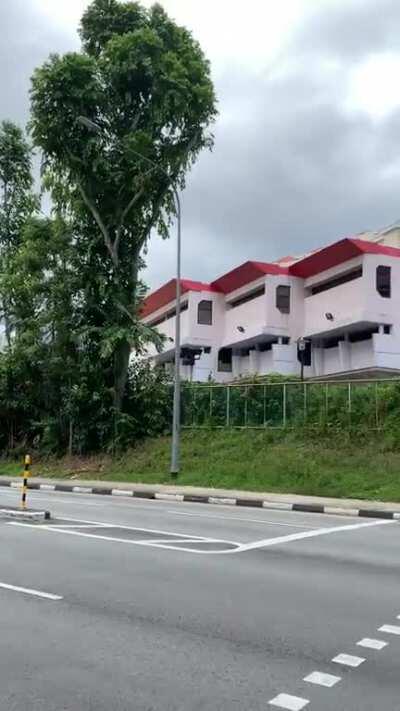 Singapore's weather in a nutshell