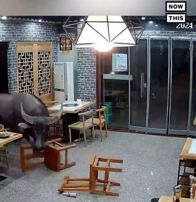 Редбул окрыляет!