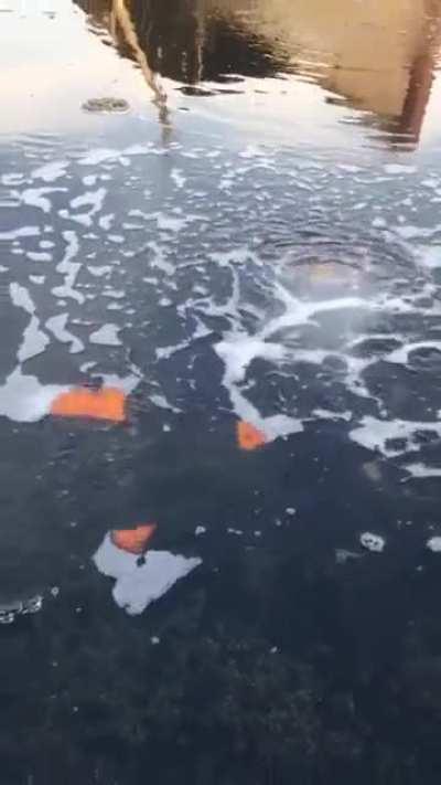 🔥 Burning The Methane on Lakes