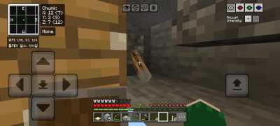 Minecraft Eco-Friendly X-ray