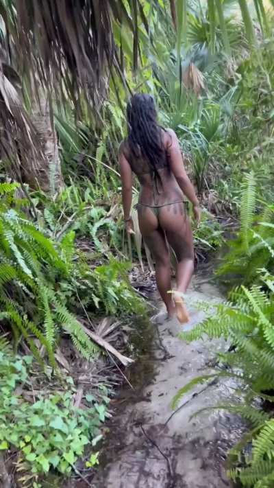 Adventures at the springs