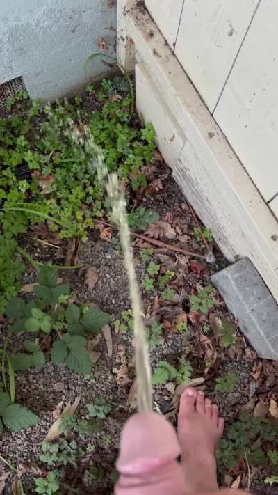 Marking My Territory