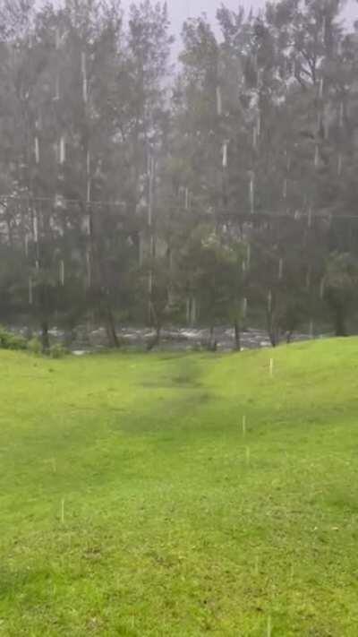 La Niña is here for the Australian summer and I am not complaining.