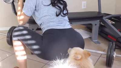 Do you even squat bro?