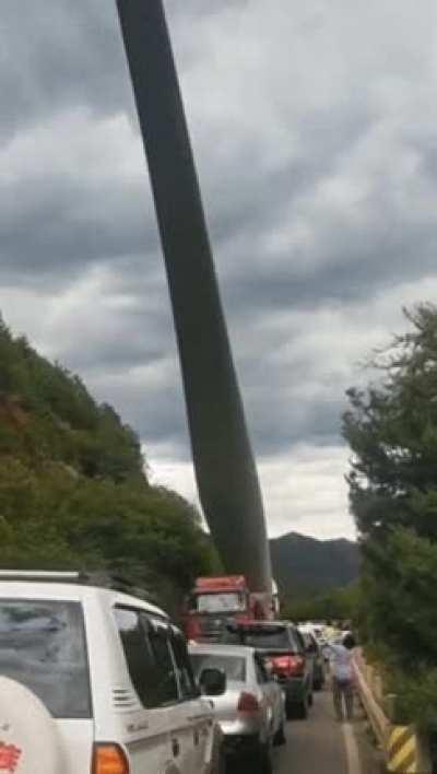 Thought this was a longneck dinosaur at first