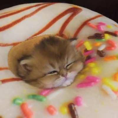 One cute little donut