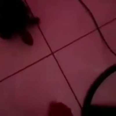 Sempre isso 😠😠😠😠