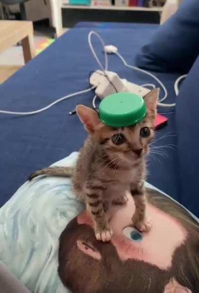 Criminal caught stealing my cap