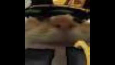 the howie’s of the round table