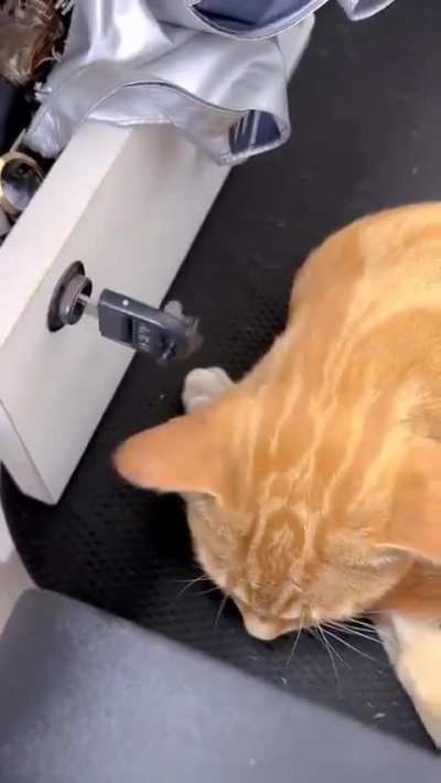 I wonder how I could achieve a click at a steady interval with minimal variation and an adjustable rate. The ever-helpful metronome: