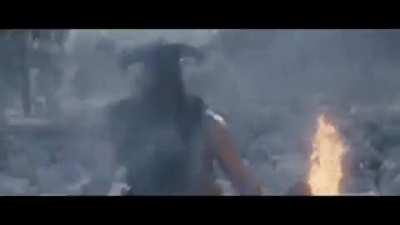 I saw this trailer for the first time. Wouldn't it be epic if there was a movie about dragonborn?