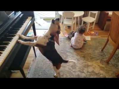 Nobody has ever had as much fun at a party as these two are having at this party