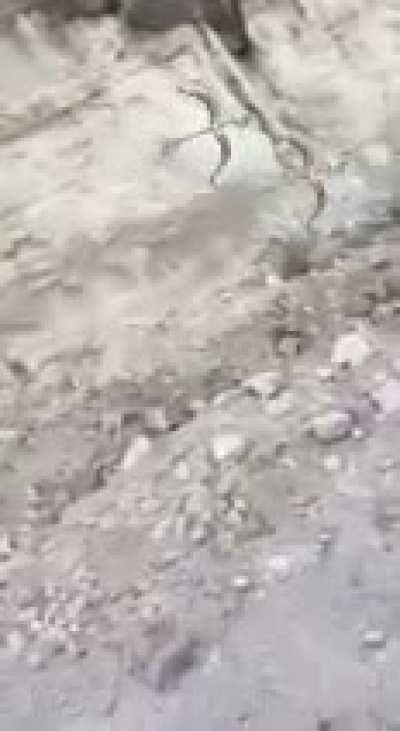 Aftermath of CDS vs CJNG