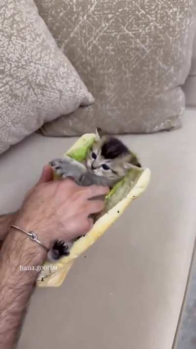 She will be samich alhamdulillah