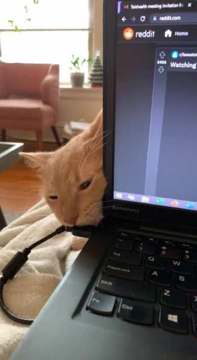 Squash is always testing the boundaries