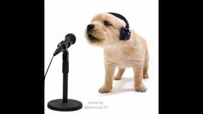 dog rapping 😨 he's kinda good tho 😏