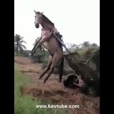 nois e trabiador pra comprar o pc gaymer