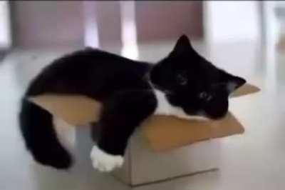 please consider the following