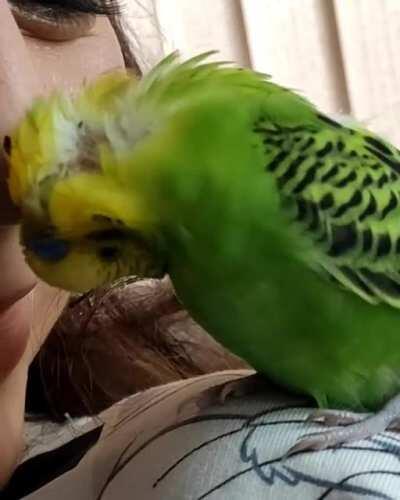 When the nose scritch is so good you flip your head upside down