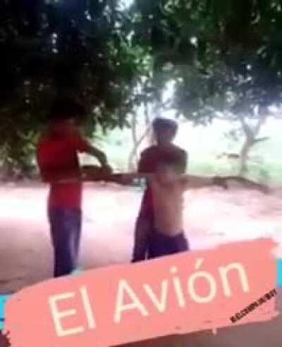 el avi&oacute;n el avi&oacute;n