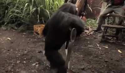 Reject McGill, Return to Saul